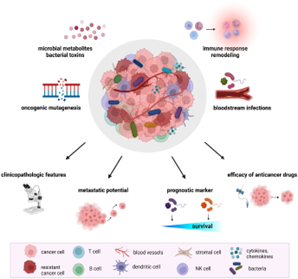 Tumour microbiome in cancer development and treatment.