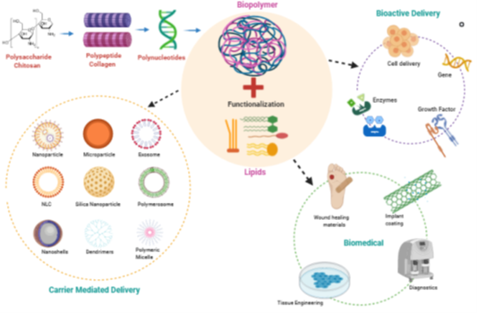 Scheme representing the wide uses of lipids and polymers in drug delivery applications and medical devices