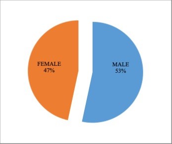 Based on gender distribution