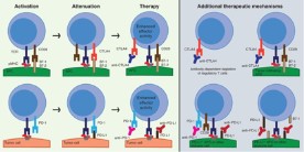 CTLA4 and PD blockade