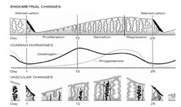 Adapted from Hanretty, 2003
