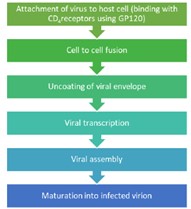 Activation of HIV virus in host